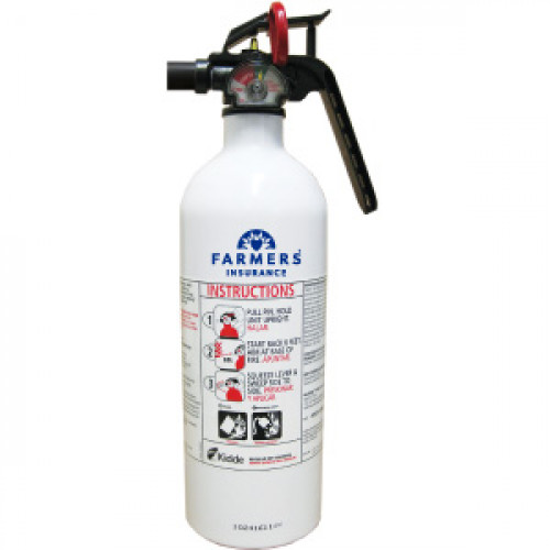 Kitchen Fire Extinguisher